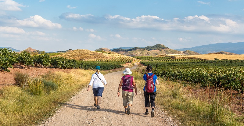 Three people walk on a gravel path surrounded by lush vineyards and hills under a partly cloudy sky, enjoying a scenic rural landscape.